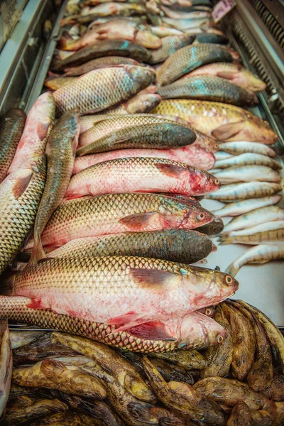 Fresh fish at shop window in the shop — Stock Photo, Image