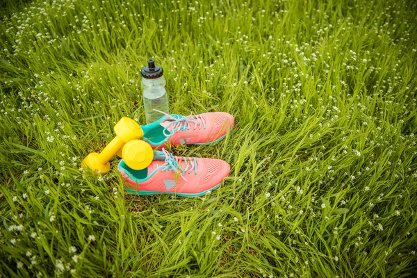 Equipo deportivo sobre un fondo de hierba verde. Concepto de estilos de vida saludables —  Fotos de Stock