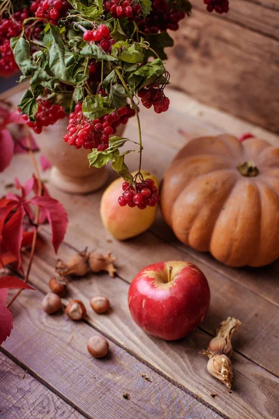 Autumn still life. apple, pumpkin, pomegranate, viburnum — Stock Photo, Image