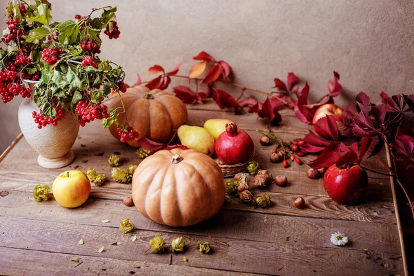 Autumn still life. apple, pumpkin, pomegranate, viburnum — Stock Photo, Image