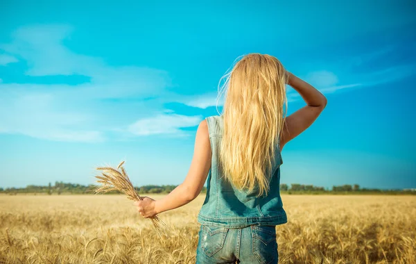 Mano femenina sostiene espigas de trigo contra el cielo —  Fotos de Stock