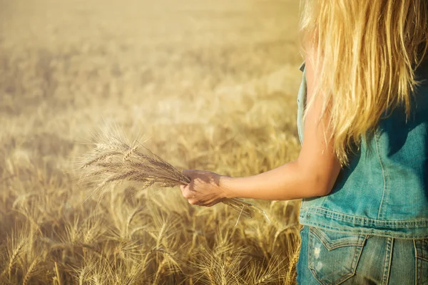 Mano femminile tiene spighe di grano contro il cielo — Foto Stock