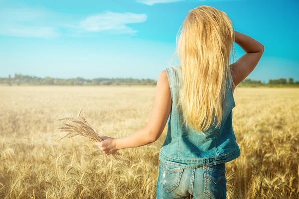 Female hand holds ears of wheat against the sky — Stock Photo, Image