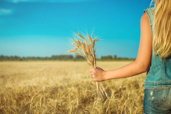 Mano femminile tiene spighe di grano contro il cielo — Foto Stock