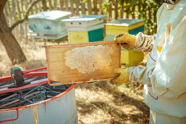 L'apiculteur tient à la main un cadre avec des rayons de miel et des abeilles — Photo
