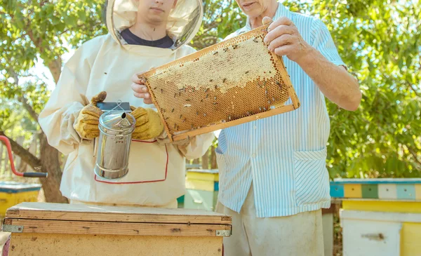 L'apiculteur tient à la main un cadre avec des rayons de miel et des abeilles — Photo