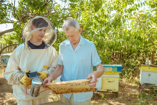 Apicultor segura na mão uma moldura com favos de mel e abelhas — Fotografia de Stock