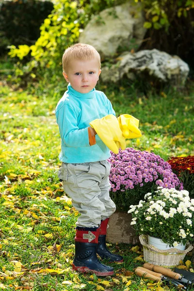 Ragazzo piantare fiori — Foto Stock