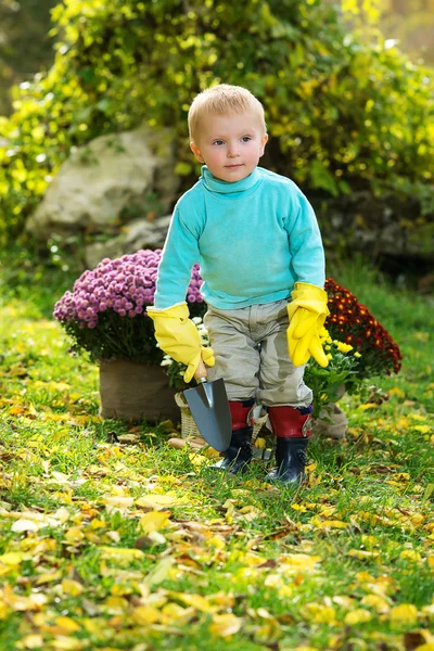 Boy planting flowers — Stock Photo, Image