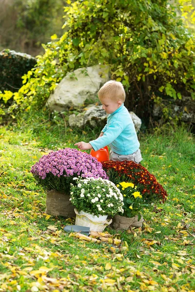 Mujer joven con un niño están plantando flores —  Fotos de Stock