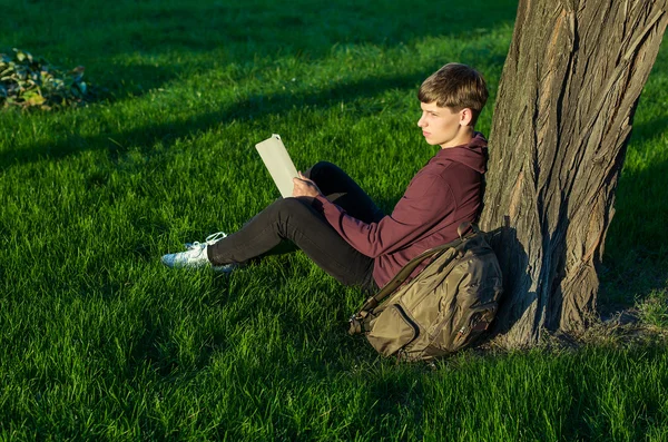 Uomo con un computer portatile nel parco — Foto Stock