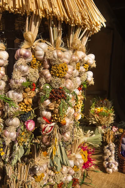 Ervas secas, especiarias e pimenta — Fotografia de Stock