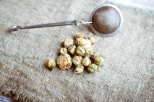 Flores brotes de rosa de té con infusor de té —  Fotos de Stock