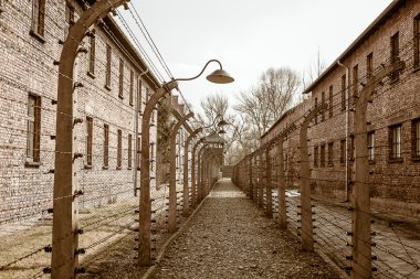 Auschwitz toplama kampı