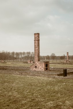 Auschwitz toplama kampı