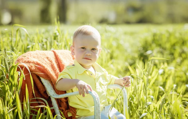 Little boy on the lawn, a child for a walk outdoors — Zdjęcie stockowe