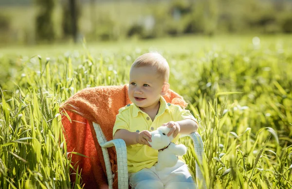 Little boy on the lawn, a child for a walk outdoors — Zdjęcie stockowe