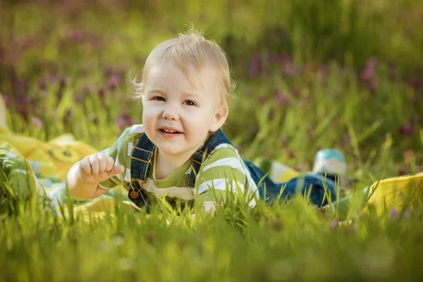 Мальчик на зеленой лужайке — стоковое фото