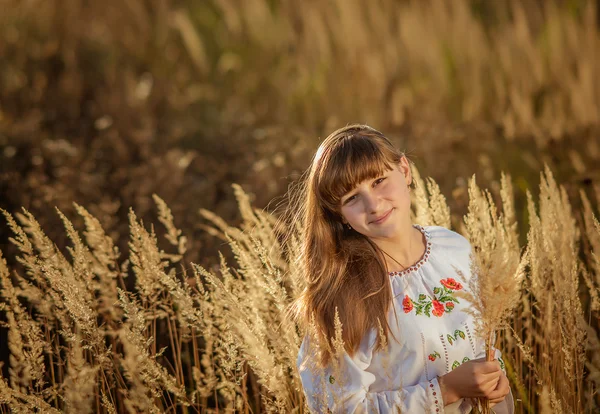 Portrait d'une jolie petite fille en broderie à l'extérieur — Photo