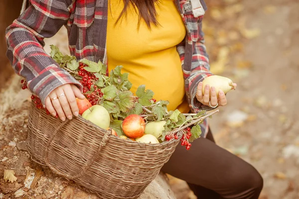 Hamile kadın açık. Sonbahar Park hamile bir kadın portresi — Stok fotoğraf