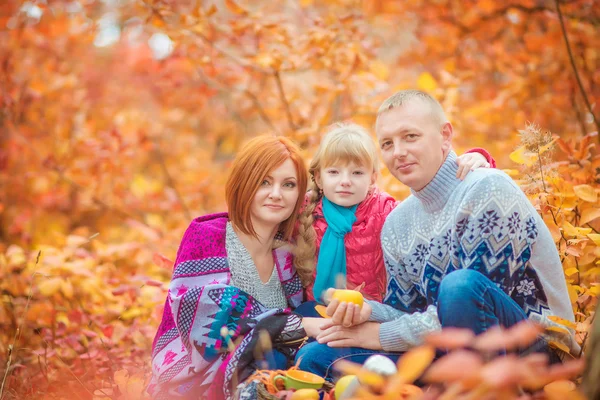 Jonge gelukkige familie buiten. — Stockfoto