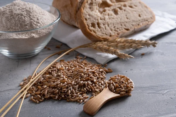 Hecelenen tahıl ve kulaklar, tam tahıllı un kasede ve ekşi hamurlu ekmek yanında.