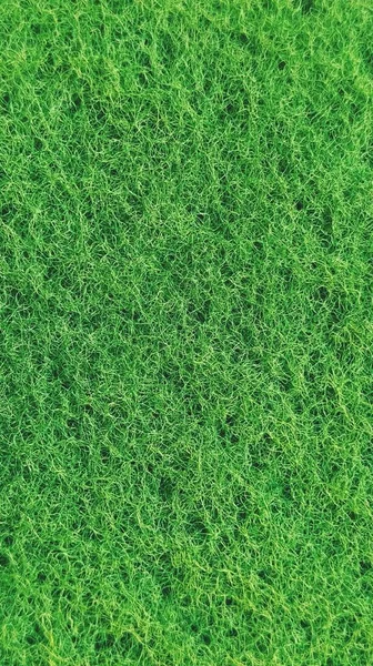 Das poröse Material des Spülschwammes. Moosgummi von grüner Farbe Nahaufnahme — Stockfoto