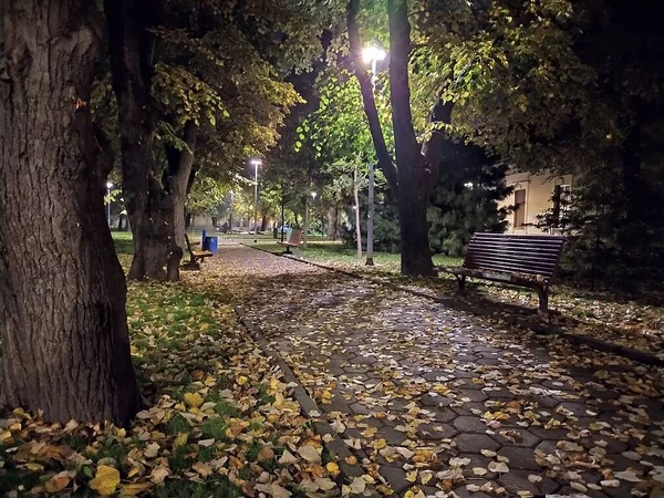 Фонарь Парке Течение Осеннего Сезона Ночью — стоковое фото
