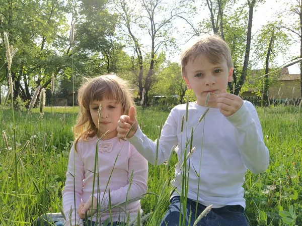 Děti Hrají Trávě Sbírají Rostliny Květiny Ochutnávají Trávu Dopřávají Lyovočka — Stock fotografie