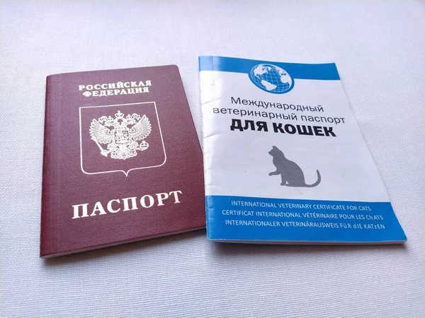 ロシアのモスクワ2020年11月29日 ロシア連邦 パスポート 猫のための国際獣医師パスポート 動物との国境を越えるための公式文書 — ストック写真