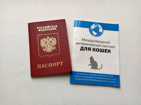 Moscou Rússia Novembro 2020 Inscrição Federação Russa Passaporte Inscrição Passaporte — Fotografia de Stock