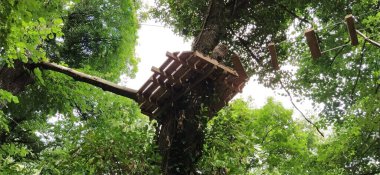 Maymun Macerası. Ulusal parklarda ve yerel eğlence tesislerinde yer alan Go Goril, ağaçların arasında zorlu bir engel teşkil ediyor. Tahta ve halat yapıları hareket için. Spor eğlence yarışmaları.