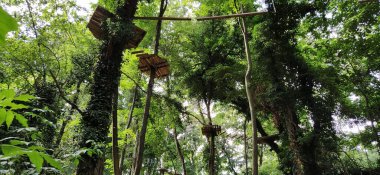 Maymun Macerası. Ulusal parklarda ve yerel eğlence tesislerinde yer alan Go Goril, ağaçların arasında zorlu bir engel teşkil ediyor. Tahta ve halat yapıları hareket için. Spor eğlence yarışmaları.