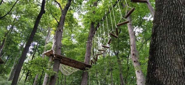 Vai Aventura Macaco Localizado Parques Nacionais Instalações Recreativas Locais Ape — Fotografia de Stock