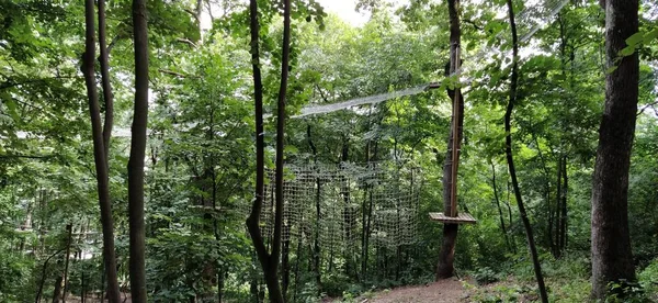 어드벤처 공원과 레크리에이션 시설에 나무에 장애물이다 움직임을 나무와 스포츠 — 스톡 사진