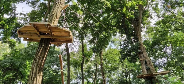 Ape Adventure Situé Dans Les Parcs Nationaux Les Installations Récréatives — Photo