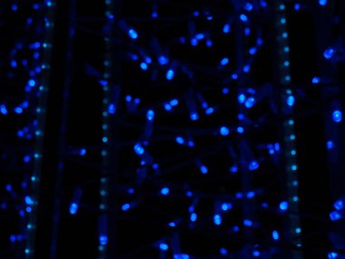 Mavi çelenklerden Bokeh. Dışarıda çok güzel ışıklandırma var. LED ampuller yeni yıl ve Noel atmosferi yaratır. Kartpostal için arka plan Mutlu yıllar ya da Mutlu Noeller.