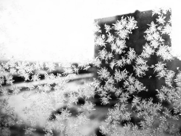 Patrones Hielo Ventana Hermosos Rizos Cristales Vidrio Fuera Ventana Hay — Foto de Stock