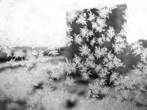 Modelli Ghiaccio Sulla Finestra Bellissimi Riccioli Cristalli Vetro Fuori Dalla — Foto Stock