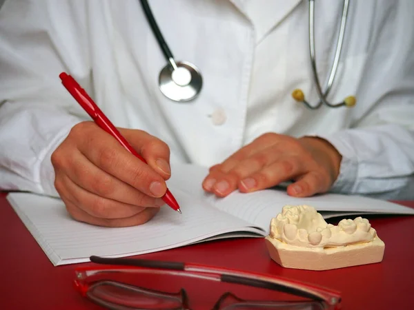 The doctor writes something down in a notebook or notebook. White medical gown. Glasses and a plaster jaw are on the red table. A stethoscope hangs around the neck of a healthcare professional. Work