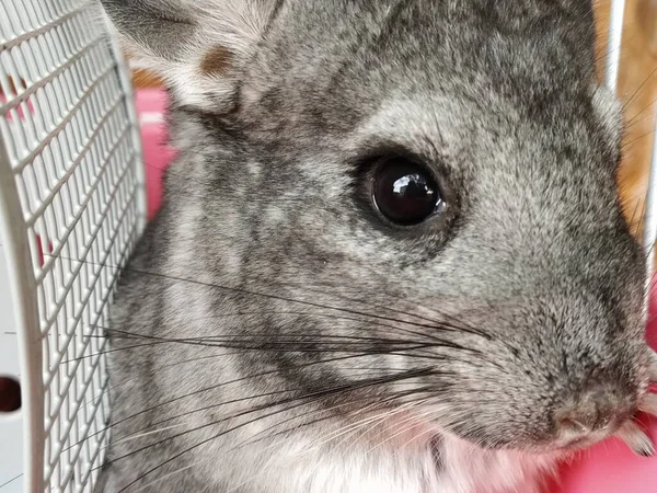 Fotos De ทารกช นช ลล า De Stock ทารกช นช ลล า Imagenes Libres De Derechos Depositphotos