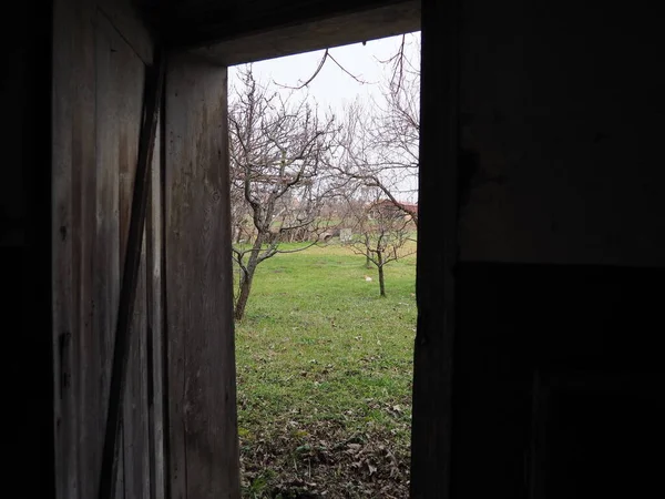 古い木製のドアだ ベビーベッドのドア家畜やガレージのための屋台 木製の梁と戸口 ドアから春の緑 未知への扉 — ストック写真