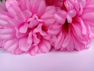 Beyaz arka planda pembe kasımpatılar. Yapay çiçekler bir buket olarak.