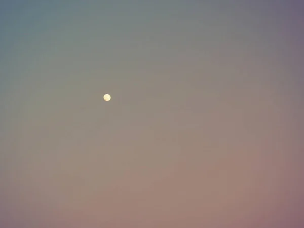 The moon is like a white point in the evening pink - blue sky. Sky background.