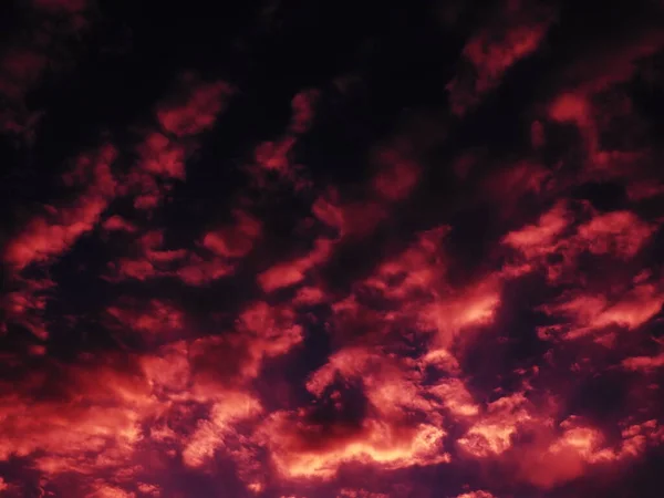 Red purple pink sunset sky cloud. Dramatic sunset sky. Wonderful sunset. Clouds in the evening sky. The sun\'s rays pierce the clouds. Beautiful landscape. The sun goes down.