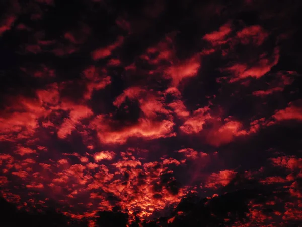 Red purple pink sunset sky cloud. Dramatic sunset sky. Wonderful sunset. Clouds in the evening sky. The sun\'s rays pierce the clouds. Beautiful landscape. The sun goes down.