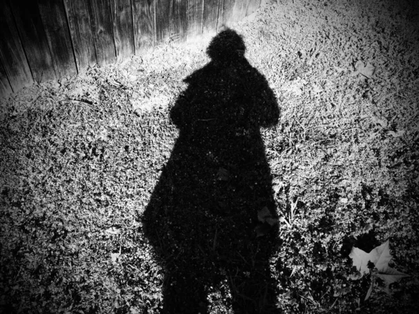 Shadow of a man or woman in a raincoat or coat. Hair bob, arms bent. The shadow falls on a pinch with grass and vegetation. Silhouette of an unknown mysterious person. Halloween theme.