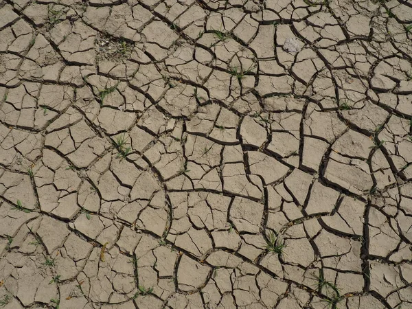 Глибокі Тріщини Землі Символ Жаркого Клімату Посухи Пустеля Тріщини Землі — стокове фото