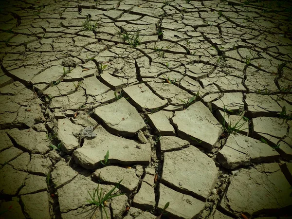 Głębokie Pęknięcia Lądzie Jako Symbol Gorącego Klimatu Suszy Pustynia Pęknięta — Zdjęcie stockowe