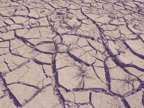 Głębokie Pęknięcia Lądzie Jako Symbol Gorącego Klimatu Suszy Pustynia Pęknięta — Zdjęcie stockowe